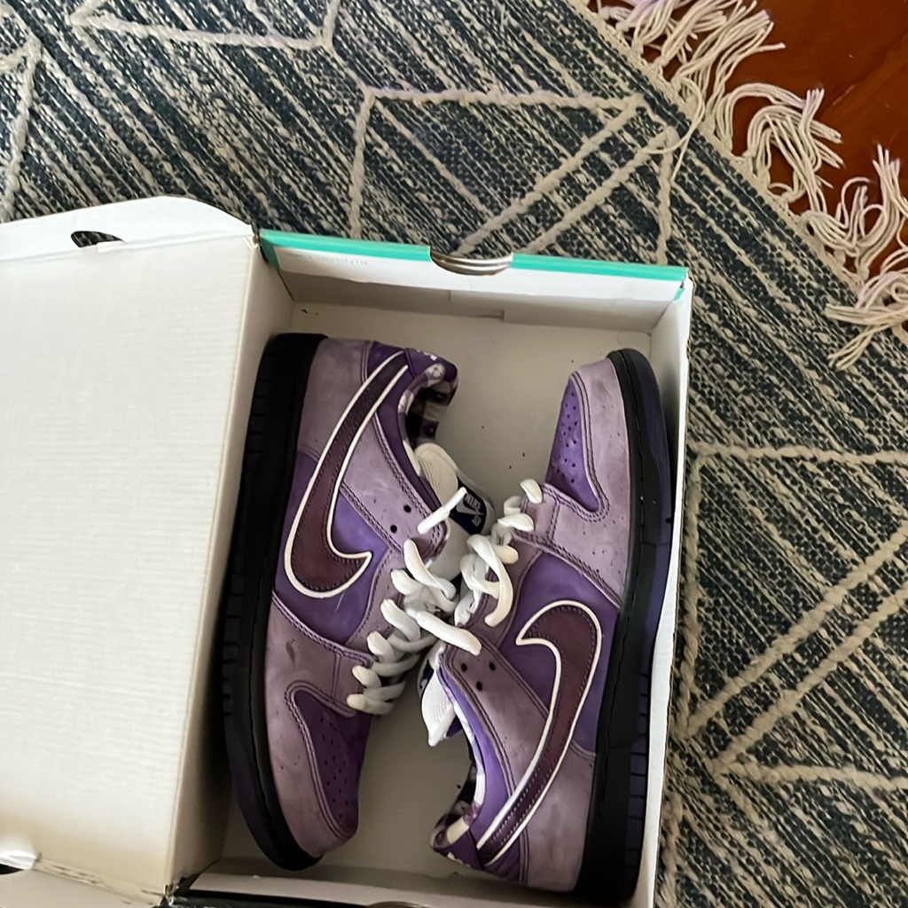 Nike Sb Purple Lobter